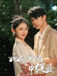 Cô Ấy Nở Rộ Trong Gió Lạnh