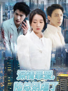 Đừng Làm Tổn Thương Em, Tổng Giám Đốc Lục