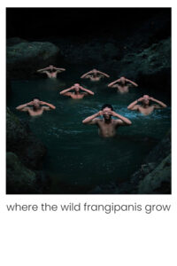 Nơi hoa sứ dại mọc